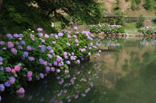 みのかも健康の森