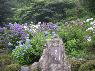 月見の森【海津市】