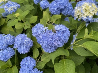21世紀の森公園