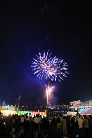 にゅうかわ夏まつり