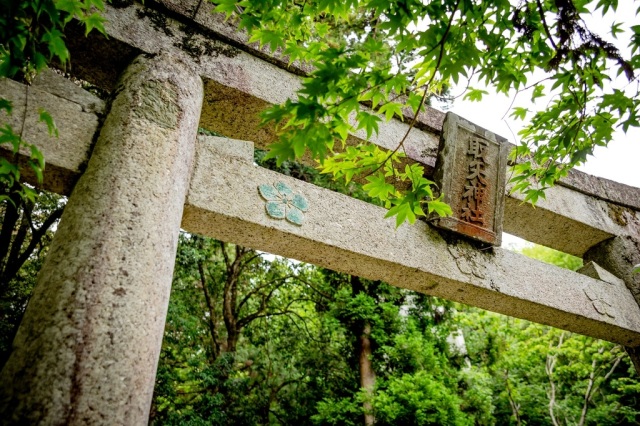 取矢神社・「金鶏の滝」「武士の滝」