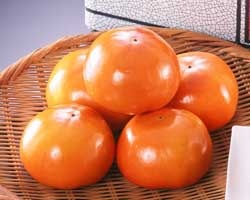 堂上蜂屋柿