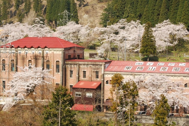 イビデン東横山発電所の桜