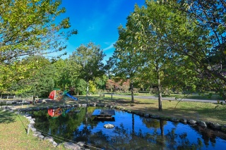 グリーン・ウッド関ケ原 オートキャンプ場