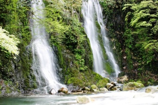 夫婦滝（揖斐川町）