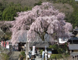 林陽寺