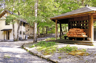 和良大月の森公園キャンプ場