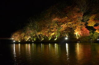 助右衛門サのもみじ