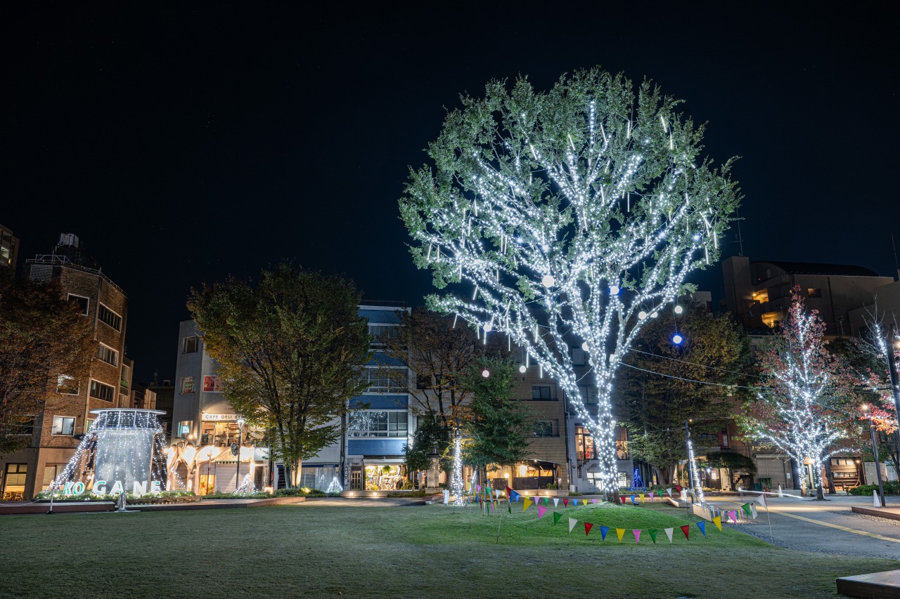 【撮影:小林 淳】