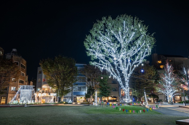 【撮影:小林 淳】