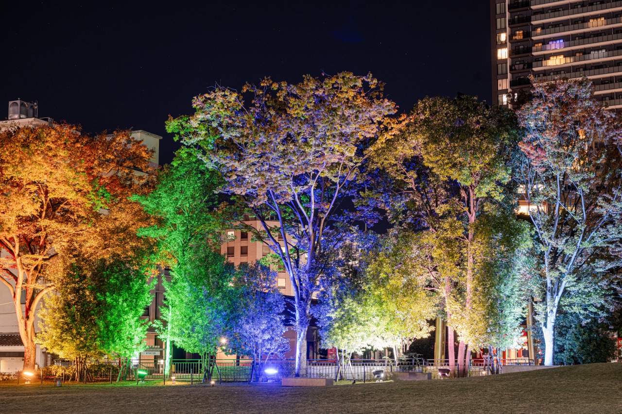 【撮影:小林 淳】