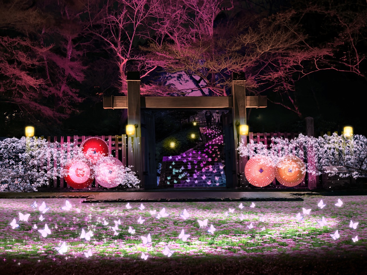 ※画像はイメージです。