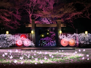 ぎふ灯り物語 2026