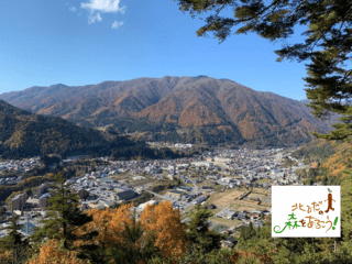 飛騨の山城ツアー　～江馬氏が見守る秋の高原郷～高原諏訪城跡…