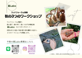 秋の3つのワークショップ