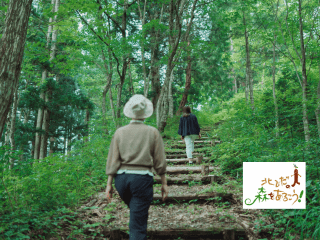 朝霧の森で自然観察ハイキング&森林浴 ※特別価格