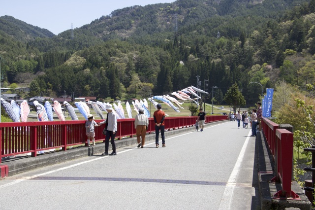 春のさわやかウォーキング