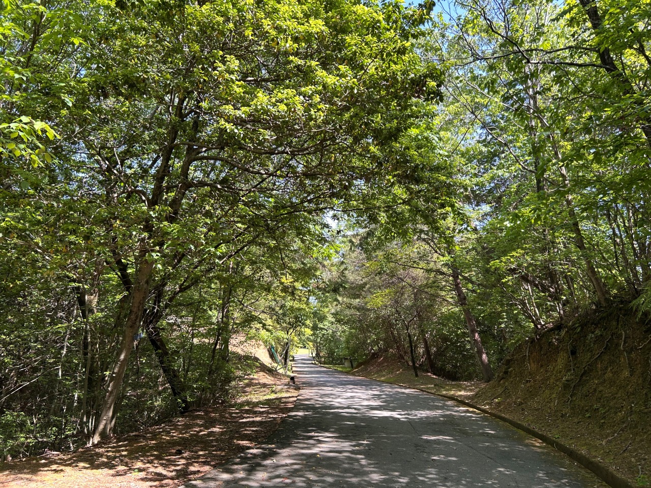 園路