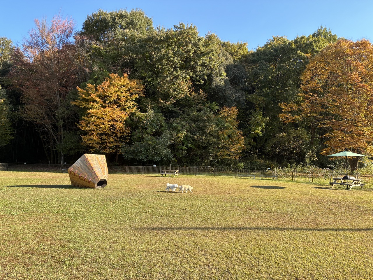 ドッグラン（入口は公園の外にあります※公園内はペット同伴不可）