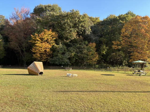 ドッグラン（入口は公園の外にあります※公園内はペット同伴不可）