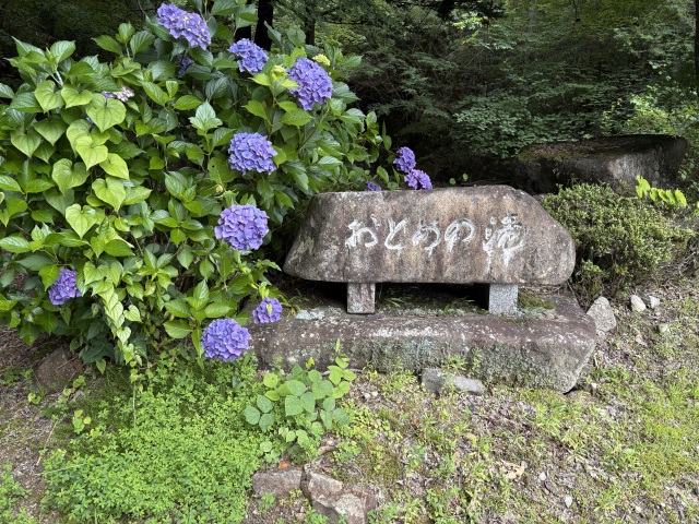おとめの滝