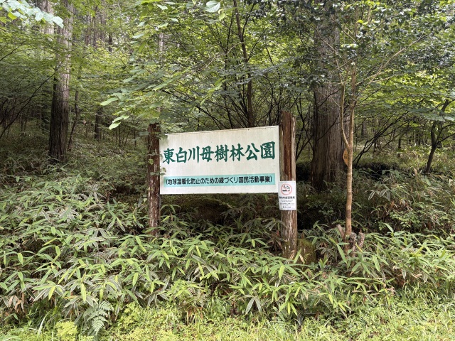 東白川母樹林公園