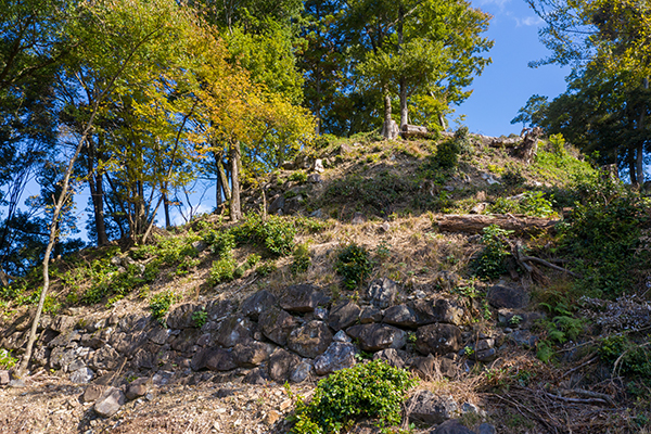 三の丸北から見上げる連続した石垣